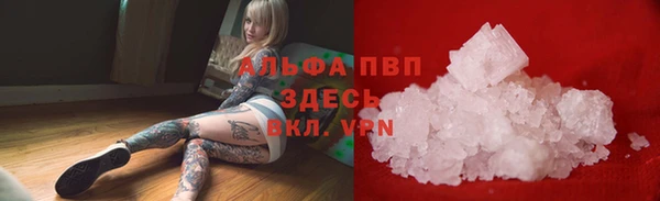 гидра Алексин