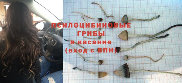 амф Алексеевка