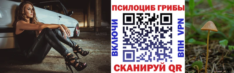 Галлюциногенные грибы Psilocybine cubensis  darknet наркотические препараты  Мирный 